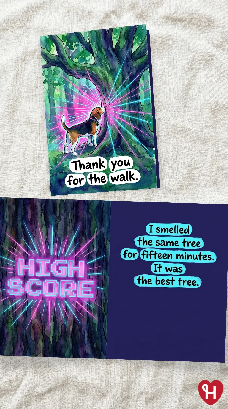Thank You For The Walk